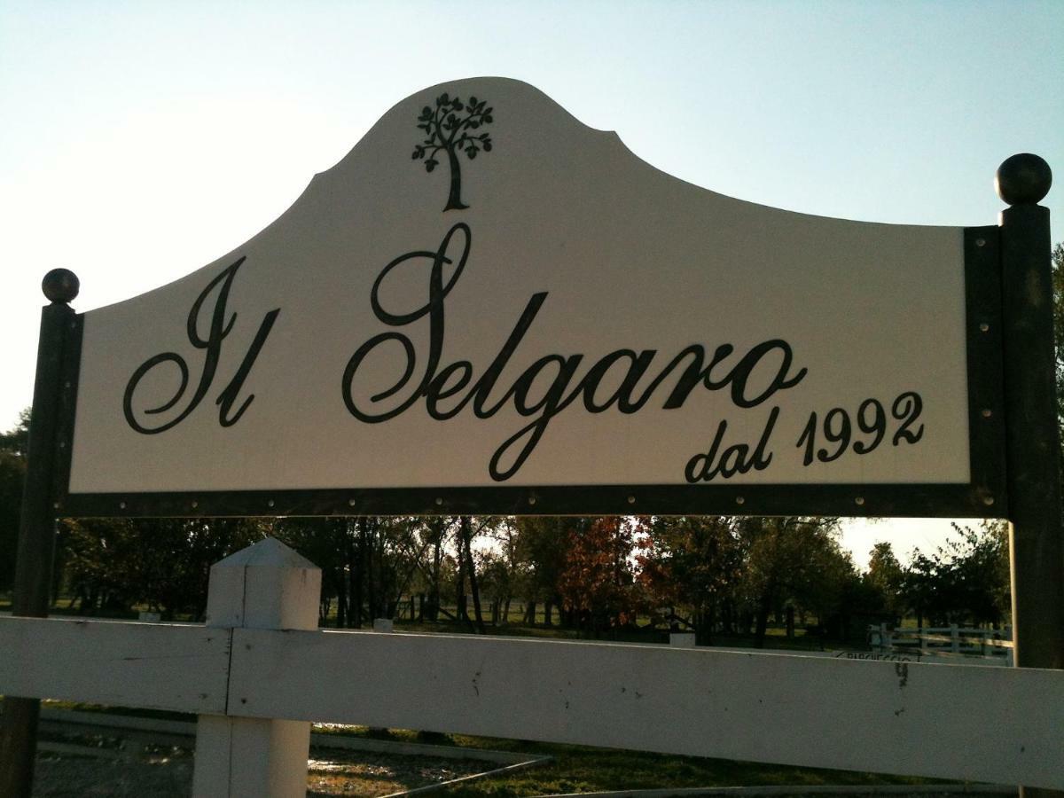 Hotel Il Selgaro Agriturismo Zelarino Exteriér fotografie